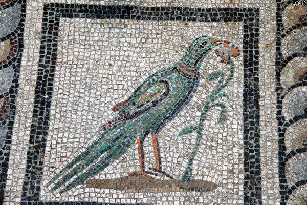 Detail of collared bird pecking at flower on Roman mosaic section of Orpheus floor from Miletus (2ndC CE) at Pergamon Museum. Berlin, Germany.