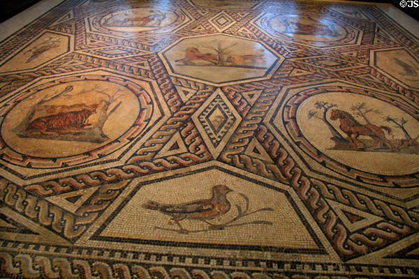 Roman floor mosaic (c250) found in Trier at German Historical Museum. Berlin, Germany.