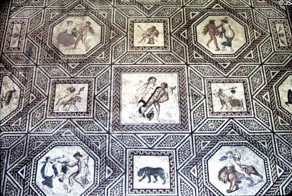 Dionysus mosaic from ruins of a Roman Villa found on site during WWII at Roman Germanic Museum. Köln, Germany.