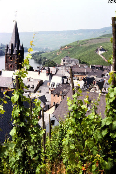 Town & river as seen from hillside vineyard. Bernkastel-Kues, Germany.