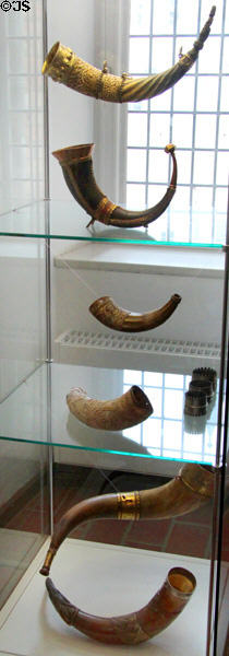 Nordic & Icelandic drinking horns some with silver fittings (15th-16thC) at Schleswig Holstein State Museum. Schleswig, Germany.