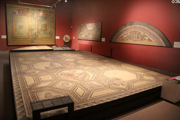 Roman floor mosaics & wall painting collection (c2ndC) at Trier Archaeological Museum. Trier, Germany.