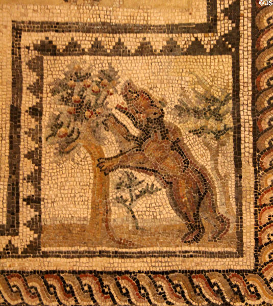 Fragment of Roman floor mosaic of bear seeking fruit (3rdC) at Trier Archaeological Museum. Trier, Germany.