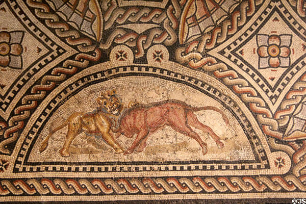 Fragment of Roman floor mosaic of lion attacking bull (early 3rdC) at Trier Archaeological Museum. Trier, Germany.