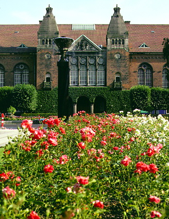 Roses in front of the Royal Library in Kobenhavn. Denmark.