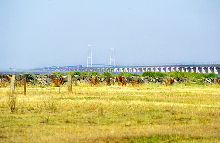 Bridge from Nyborg to the island upon which Kobenhavn sits. Denmark.