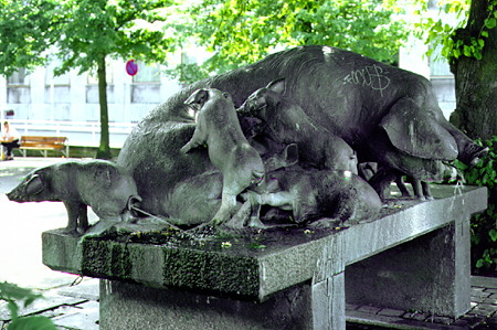 Pig sculpture doubles as a fountain where piglet does naughty things in Århus. Denmark.