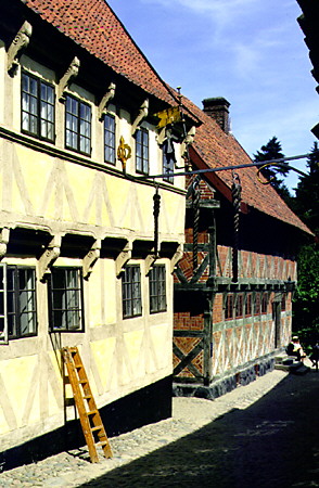 Typical buildings of the Open Air Museum in Århus. Denmark.