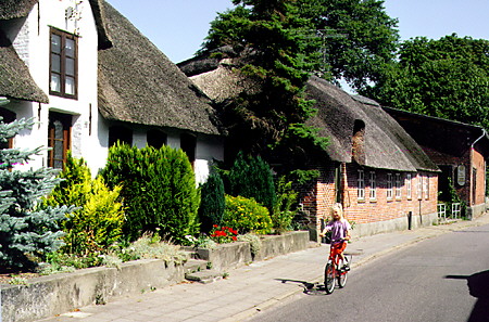 Thatched houses along a street in Højer. Denmark.