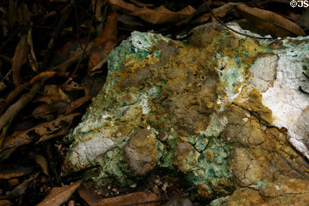 Green & yellow deposits at sulphur vent in Soufrière Sulphur Springs National Park. Soufrière, Dominica.