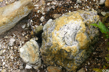 Sulphur rocks in Soufrière Sulphur Springs National Park. Soufrière, Dominica.