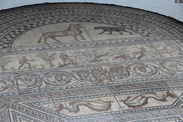 Details of Roman mosaic floor at Bavarian State Archaeological Collection. Munich, Germany.