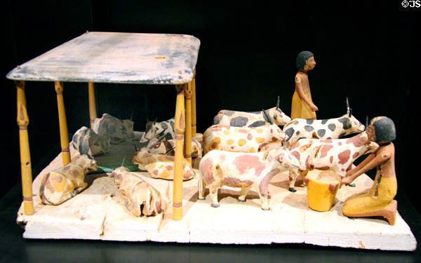 Funerary model of cattle (12th Dynasty - c1900 BCE) at Museum Ägyptischer Kunst. Munich, Germany.