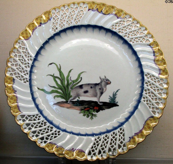 Meissen porcelain plate with lattice rim like waving flag in yellow and painted mythical animal (1762-3) from service made for Prussian King Friedrich the Great after his request for animals of India at Meissen porcelain museum at Lustheim Palace. Munich, Germany.