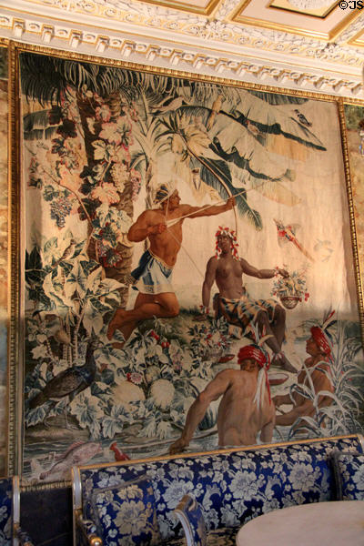 Tapestry from Nouveaux Indes series (1736-41) by Alexandre-François Desportes for Gobelin Factory of Paris in Audience room at Ehrenburg Palace. Coburg, Germany.