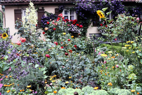 Romantic garden in front of residence. Rothenburg ob der Tauber, Germany.