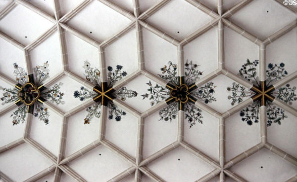 Ceiling with hexagonal supports at Blaubeuren Abbey. Blaubeuren, Germany.