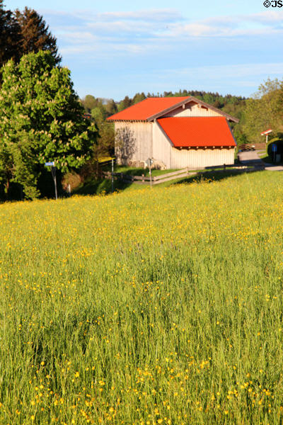 Golden field with farm building in background in Chiemsee region. Chiemsee, Germany.