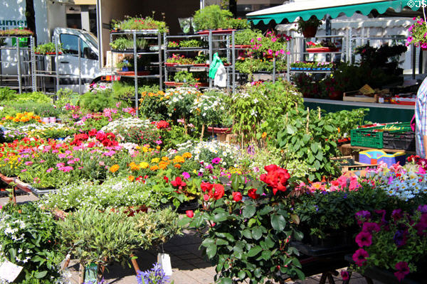 Flower shop in Market Area. Ulm, Germany.