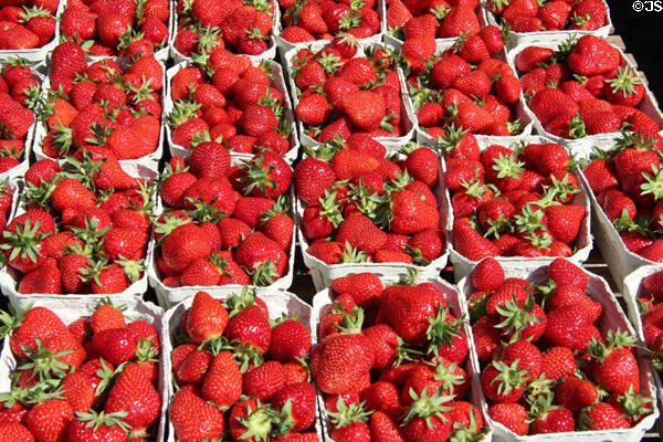 Strawberries in Market Area. Ulm, Germany.