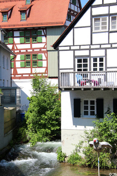 Half timbered homes on Blau River with sparrow, symbol of Ulm, in foreground. Ulm, Germany.