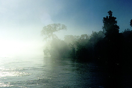 Morning fog on the Río Napo in the Amazon. Ecuador.