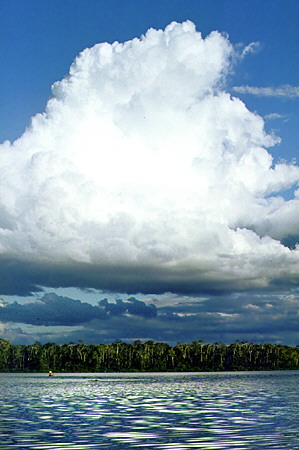 Puffy cloud forms above Limoncocha Lake which is a biological reserve in the Amazon basin. Ecuador.