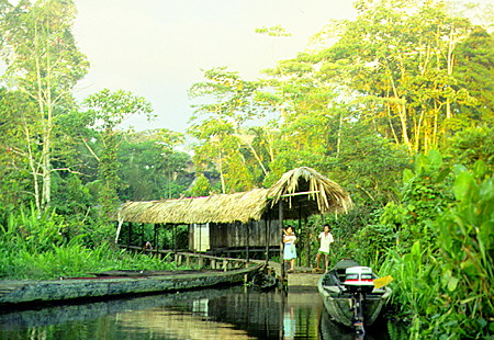 Lodge hidden in the Amazon on Limoncocha Lake. Ecuador.