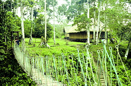 Rope bridge and lodge in the Amazon at Limoncocha Lake. Ecuador.