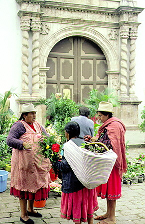 Flower market in Cuenca. Ecuador.