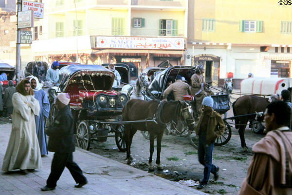 Street scene with horse cabs in Luxor. Egypt.