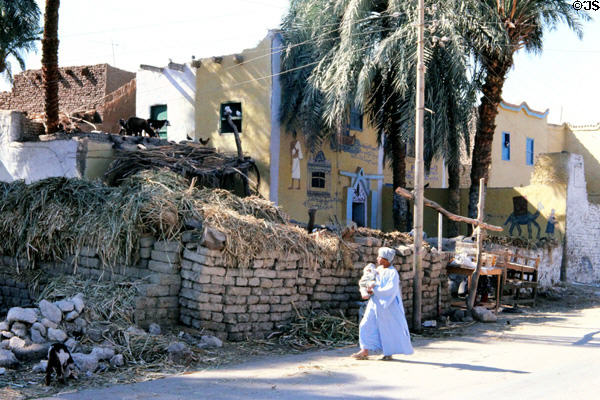 Village near Thebes. Egypt.