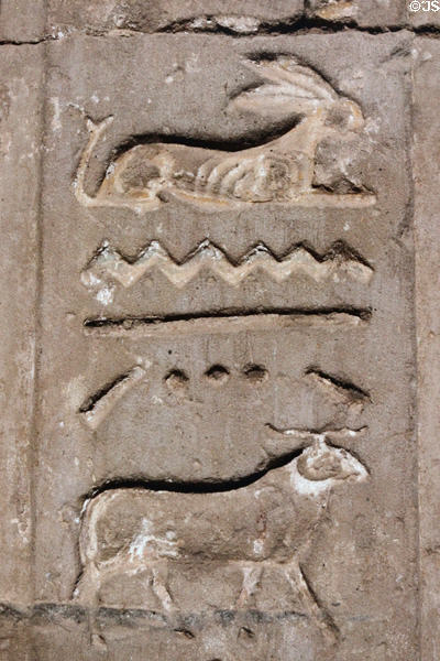 Carved hieroglyphs in Temple of Khnum in Esna. Egypt.