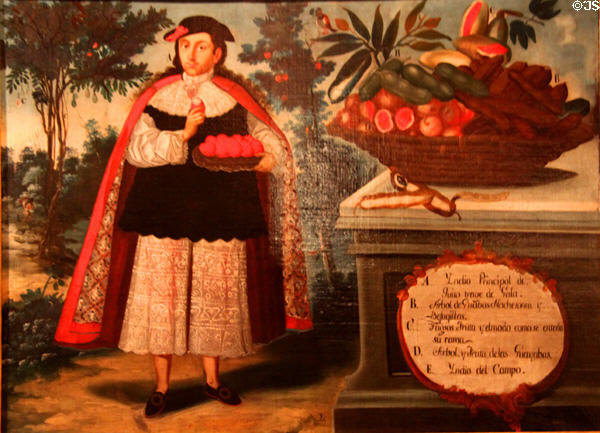 Indian in gala attire flanked by still life of local fruits (1783) by Vincente Albán from Quito, Ecuador at Museum of America. Madrid, Spain.