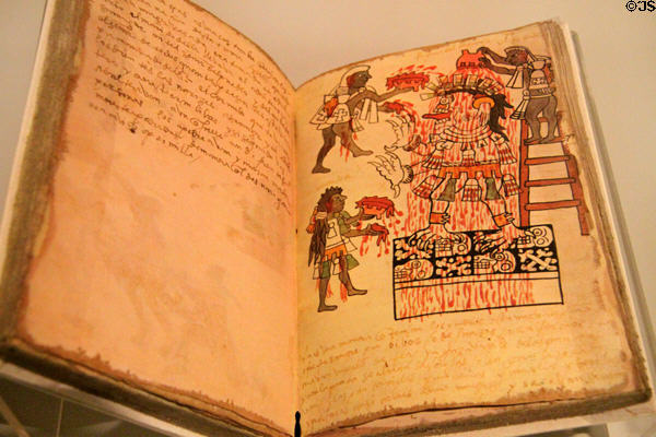 Replica of Tudela Codice showing drawing of native blood sacrifice (1533) written by Spanish colonizers but partly painted by Aztec artists at Museum of America. Madrid, Spain.