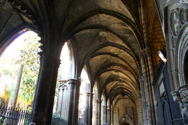 Cloister (1450) of Barcelona Cathedral. Barcelona, Spain.