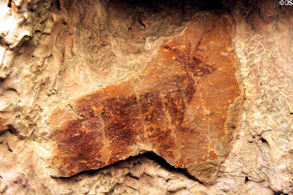 Prehistoric painting of deer (10,000-5,000 BCE) from Cova dels Moros at Museu d'Arqueologia de Catalunya. Barcelona, Spain.