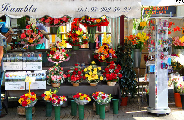 La Rambla flower market. Barcelona, Spain.
