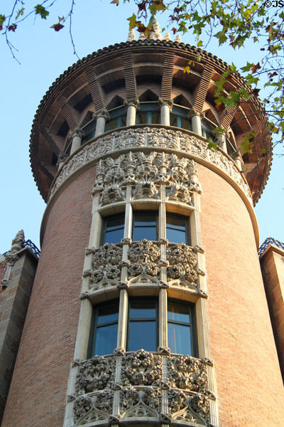 Elaborate carvings on Casa Terrades. Barcelona, Spain.