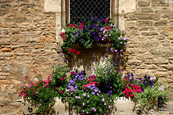 Flowers on wall of mansion of the Dukes of Burgundy. Beaune, France.