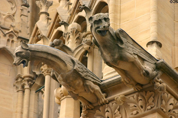 Gargoyles on Cathedral of St Etienne. Metz, France.