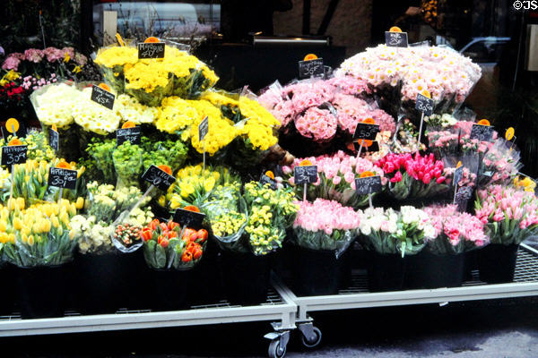 Cité Flower Market stalls. Paris, France.