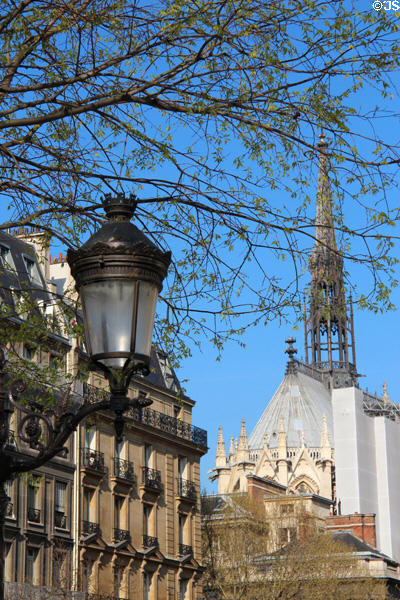 Streetlamp on Isle de la Cité with St. Chapelle in distance. Paris, France.