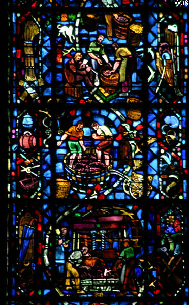Champagne production stained glass window (1954) by Jacques Simon in Cathedral. Reims, France.
