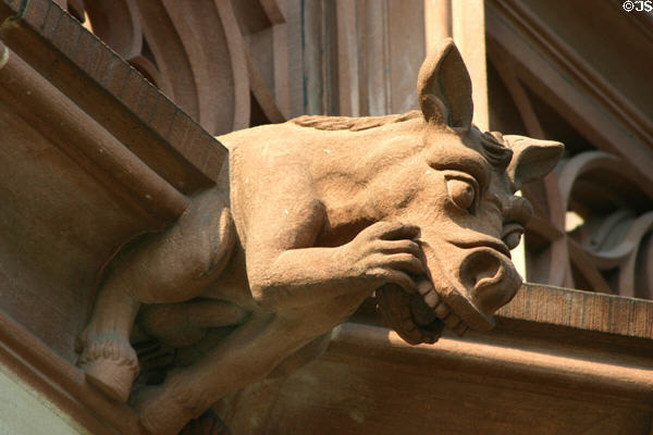 Horse gargoyle on Cathedral. Strasbourg, France.