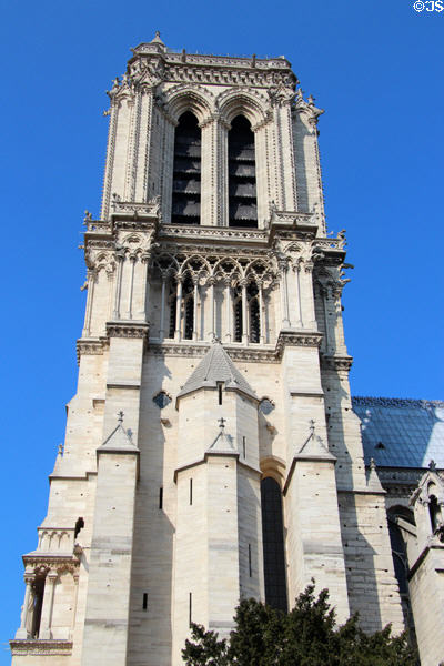 Southwest tower of Notre Dame Cathedral. Paris, France.