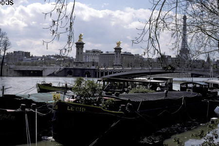 Alexandre III spans a flooded Seine River. Paris, France.