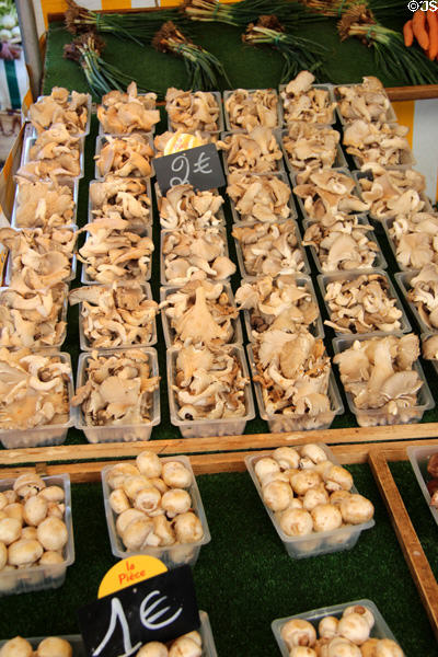 Shop display of mushrooms. Paris, France.
