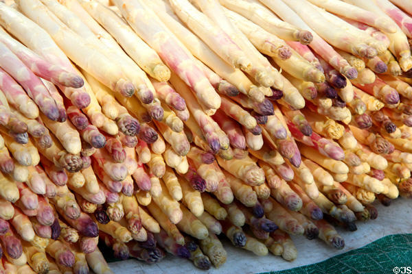 Stack of asparagus in food stall. Paris, France.