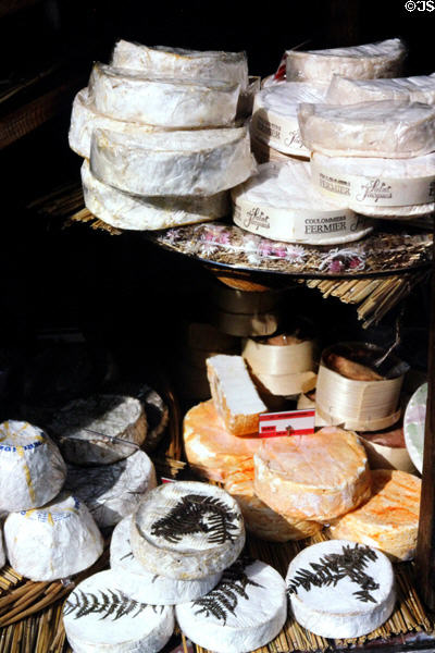 Round soft cheeses in shop. Paris, France.